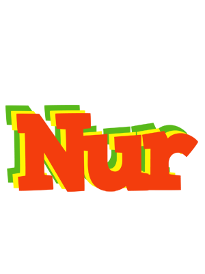 Nur bbq logo