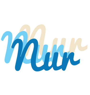Nur breeze logo