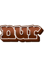 Nur brownie logo