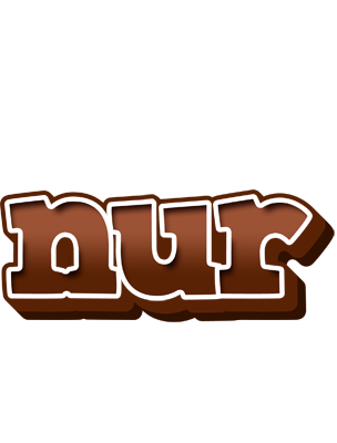 Nur brownie logo