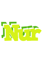 Nur citrus logo