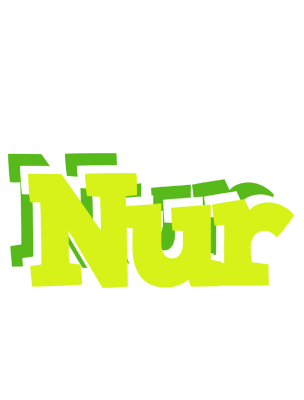 Nur citrus logo