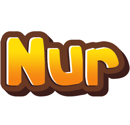 Nur cookies logo