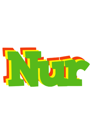 Nur crocodile logo