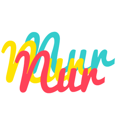Nur disco logo