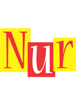 Nur errors logo