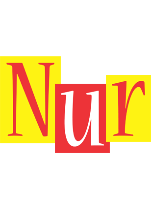 Nur errors logo