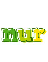 Nur juice logo