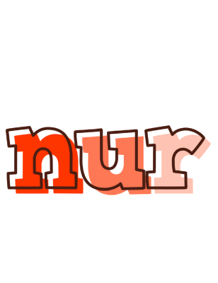 Nur paint logo