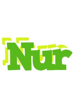 Nur picnic logo