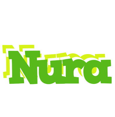 Nura picnic logo