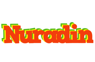 Nuradin bbq logo