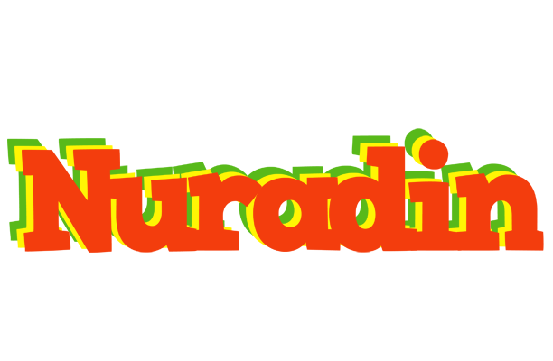 Nuradin bbq logo