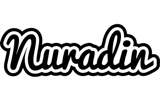 Nuradin chess logo