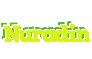 Nuradin citrus logo