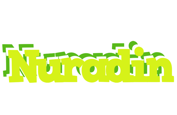 Nuradin citrus logo