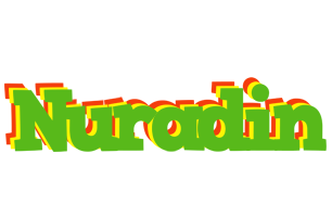 Nuradin crocodile logo