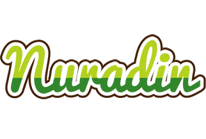 Nuradin golfing logo