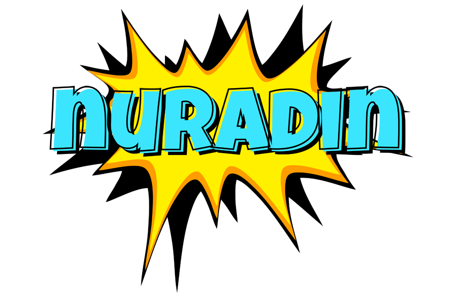 Nuradin indycar logo