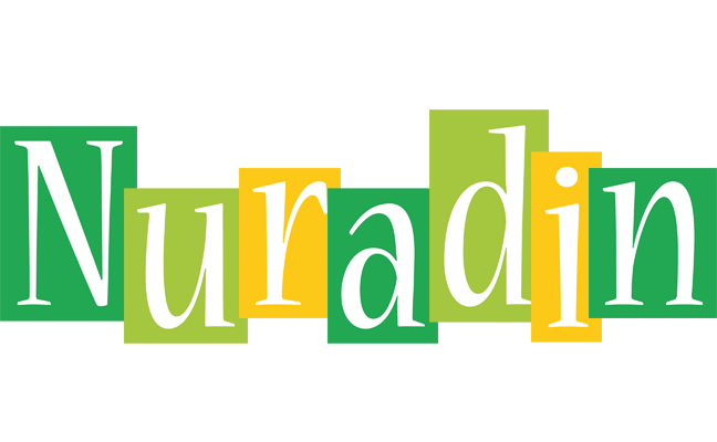 Nuradin lemonade logo