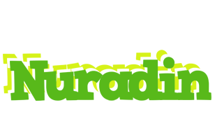 Nuradin picnic logo