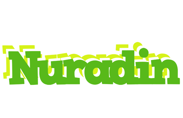 Nuradin picnic logo