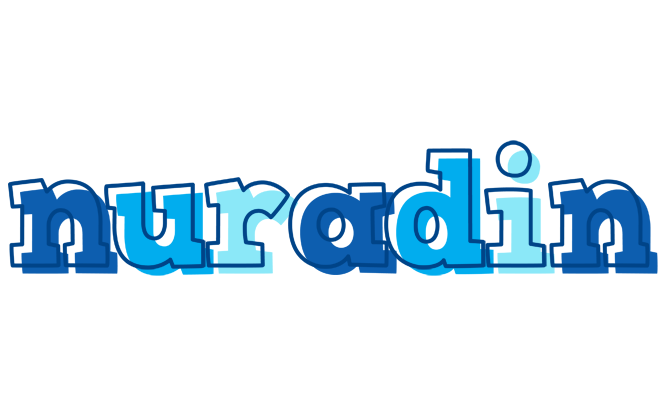 Nuradin sailor logo