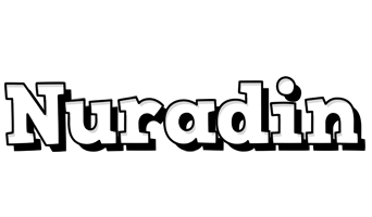 Nuradin snowing logo