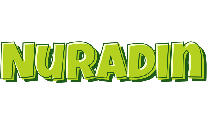 Nuradin summer logo