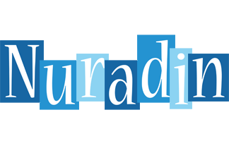 Nuradin winter logo