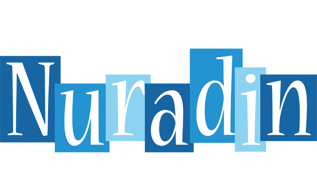 Nuradin winter logo