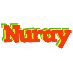 Nuray bbq logo