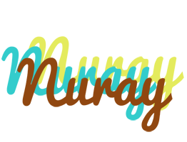 Nuray cupcake logo