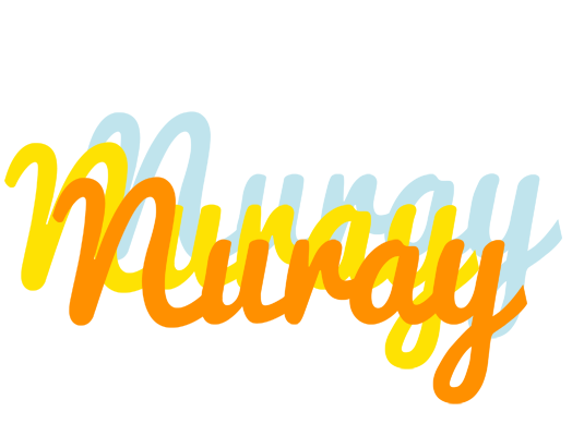 Nuray energy logo