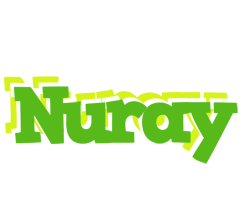 Nuray picnic logo