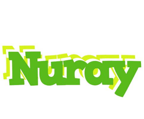 Nuray picnic logo