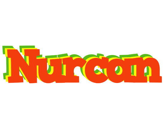 Nurcan bbq logo
