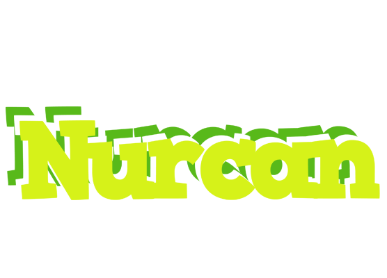 Nurcan citrus logo