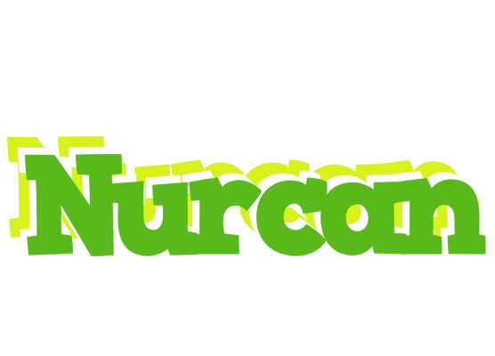 Nurcan picnic logo