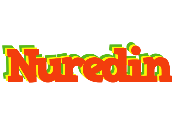 Nuredin bbq logo
