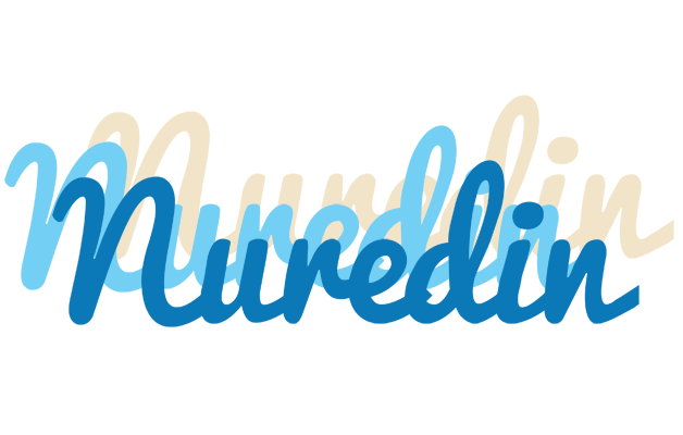 Nuredin breeze logo
