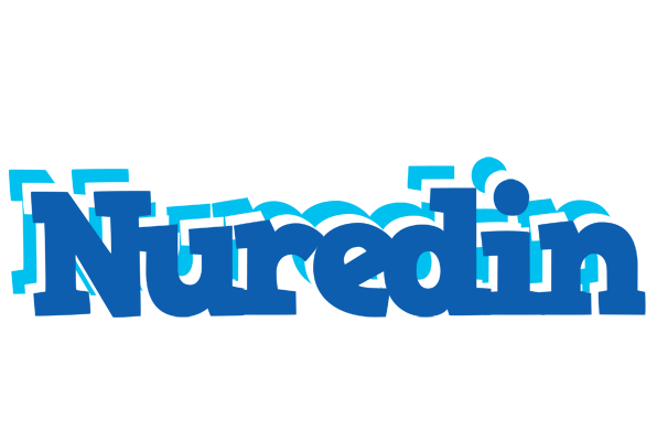 Nuredin business logo