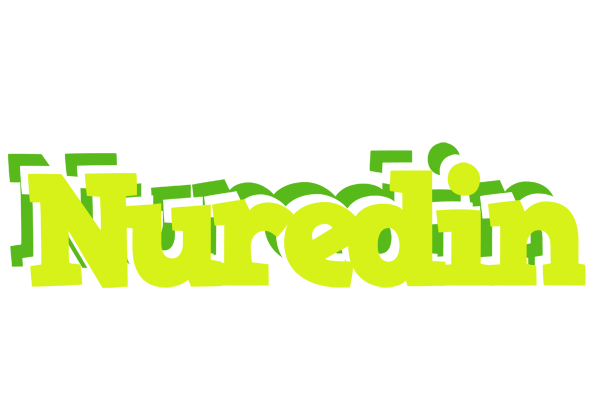 Nuredin citrus logo