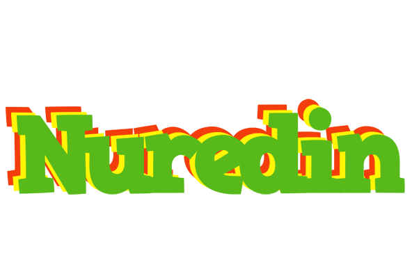 Nuredin crocodile logo