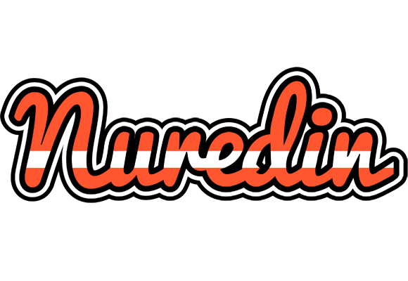 Nuredin denmark logo