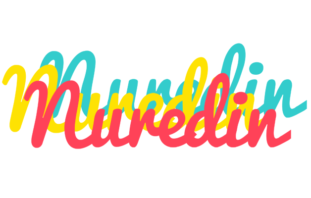 Nuredin disco logo