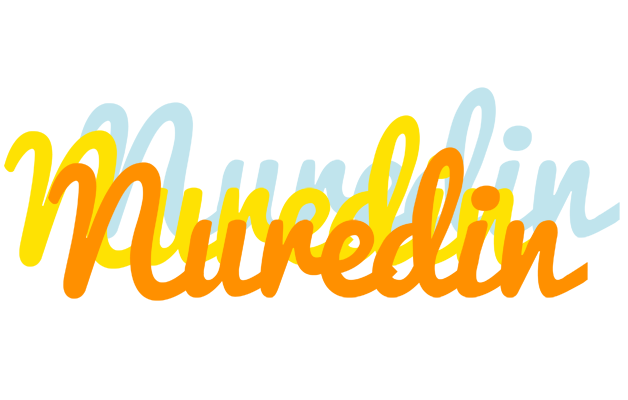 Nuredin energy logo