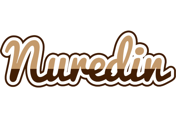 Nuredin exclusive logo