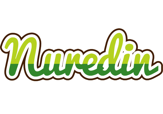 Nuredin golfing logo
