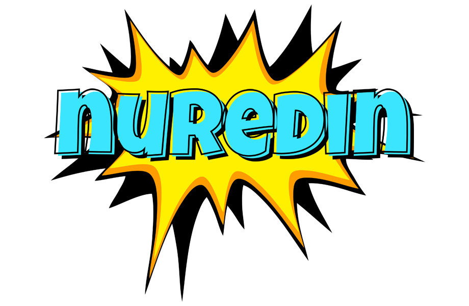 Nuredin indycar logo